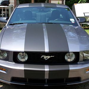 The day I brought her home!  July '07