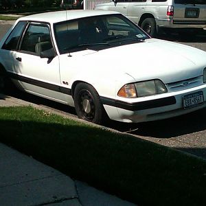 IMG00048 20100501 0956