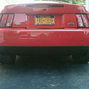 IMG00101 20100724 1005