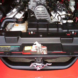 IMG00118 20100519 1953