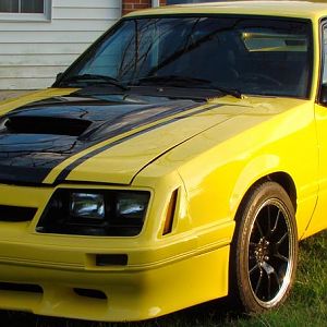 mustang pics 017