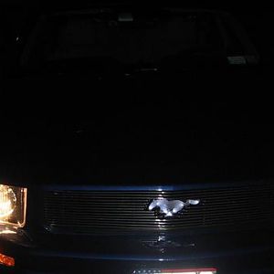 mustang lights