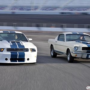 shelby gt350