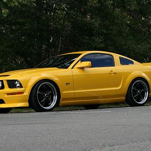 BEAR before the show