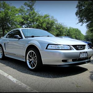 Steve Saleen signed my car on this day
