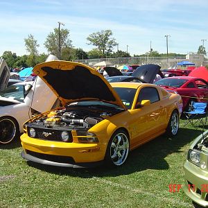 American muscle show 09112010