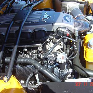 Installed carbon fiber valve covers 082210