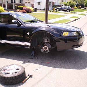 NEw rotors-pads and calliper covers