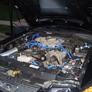 Needs a really bad cleaning