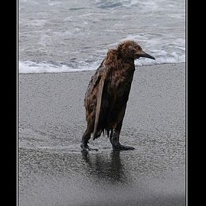 FTS ... I'm going home !!!