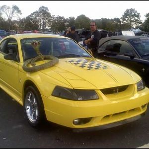 glen island car show 10/17