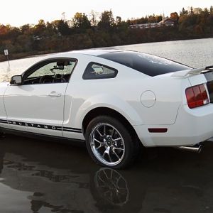 this Pony runs across water lol