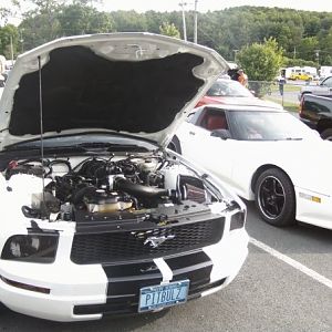 cooling off waitin in line