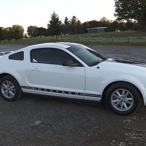 chillin at Collins park