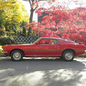 Magnum 500"s this weekend with 255's on the rear. Wanted to keep the styled wheels but they look dumb in 8"