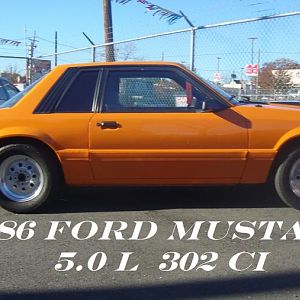 1986 MUSTANG 003