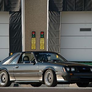 !B fnqJ!CGk~$(KGrHqQOKoYEz!t)jnMpBM8)ZiCs,w~~ 3