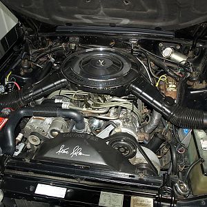 !B fn6tg!Wk~$(KGrHqIOKkQEzHOg0LzVBM8),Jp1Eg~~ 3