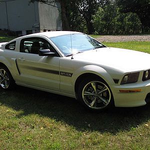 Stang1