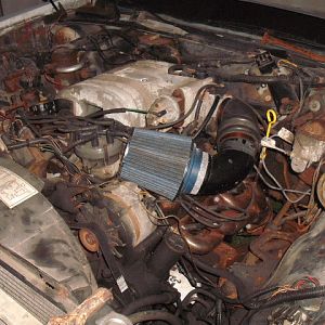 enginbay ( my super hot air intake, yep that engine bay will look nicer once i drop that HO in there)