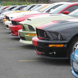 Piggy Pats Cruise - 2010