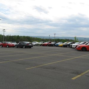 Piggy Pats Cruise - 2010