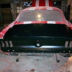 tail and trunk dry fit