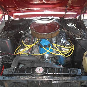 351 winsor out of a 71 cougar.