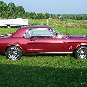 first day i had her home.