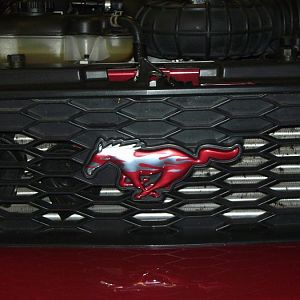 Pictures from J Drive Imported 2557 (1024x768)