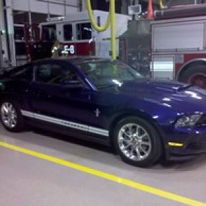 Blu next to one of our pumpers.