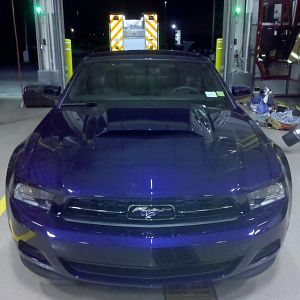 The Blu at the fire station, just a few days old.