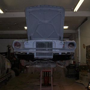 mustang jan feb pics 012