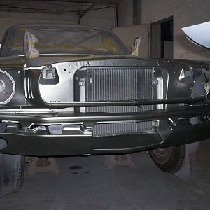 mustang jan feb pics 015