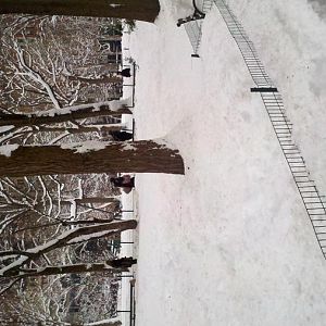 2011 01 28 09 29 34 456