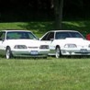 38031 1424380209595 1235447467 31256163 6242709 s