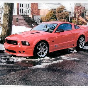 My Stang