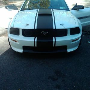 IMG00033 20100429 1706