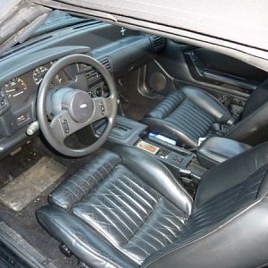 Tweed lasted a week found the black leather