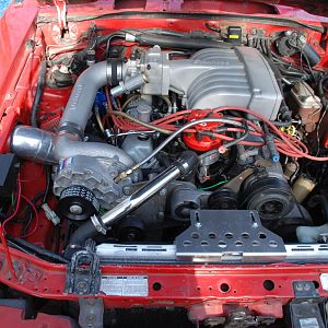 New set up 3/20/2011