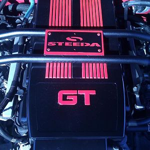 Got My Paint Shop on