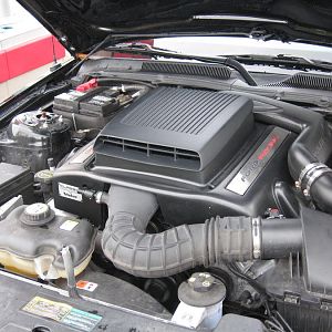 CDC Shaker Hood before the Saleen Super Shaker Super Charger