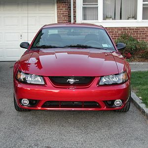 2001 SVT Cobra [4.6l DOHC V8, 5spd]
My first new Mustang