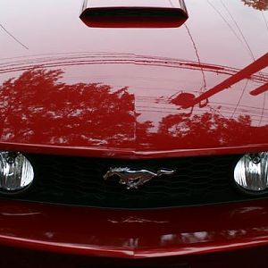 l fd57aa23b0a3d8daac52577e2f913fd6