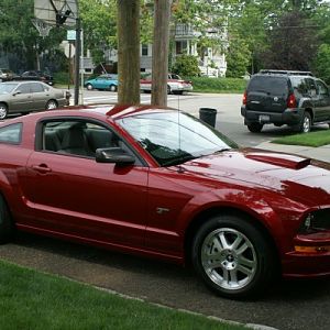 n1384544820 1774297 8454