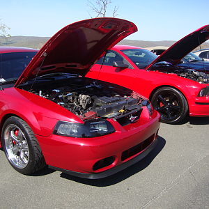 2 Red Stangs owned by 2 different Lou's!
