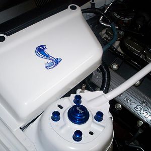 Painted battery cover