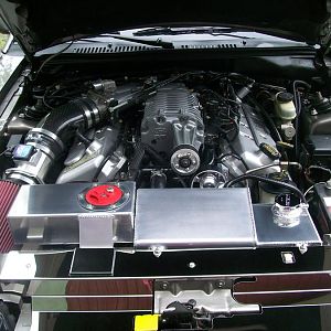 before the Kenne Bell