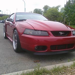 219034 1739037359088 1333273863 31584128 6672299 o