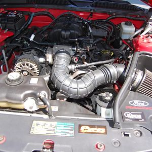 More mod's: Engine with Ford Racing CAI... also had 93 Octane performance tune by Bama; before adding strut brace